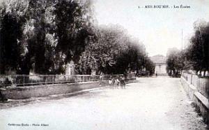 Assi-Bou-Nif - Ecoles